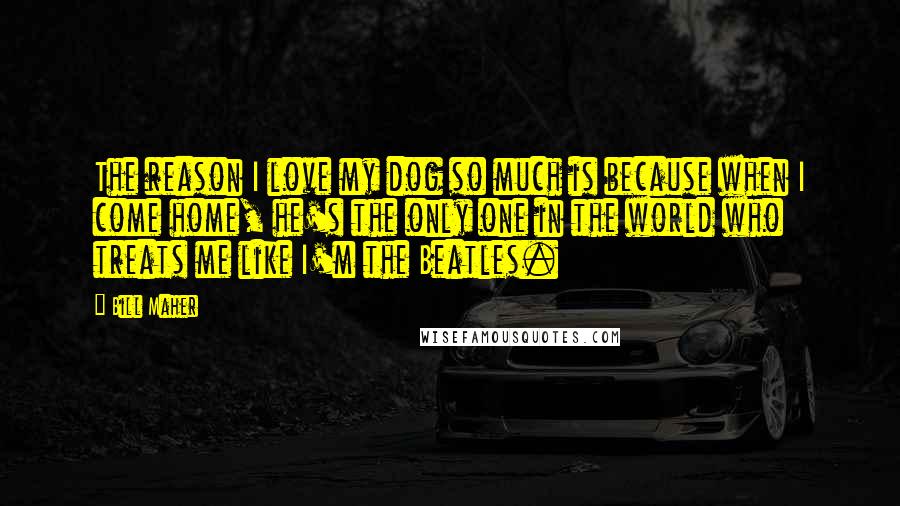 Bill Maher Quotes: The reason I love my dog so much is because when I come home, he's the only one in the world who treats me like I'm the Beatles.