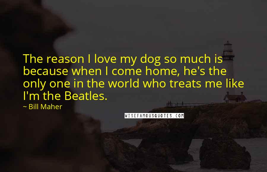 Bill Maher Quotes: The reason I love my dog so much is because when I come home, he's the only one in the world who treats me like I'm the Beatles.