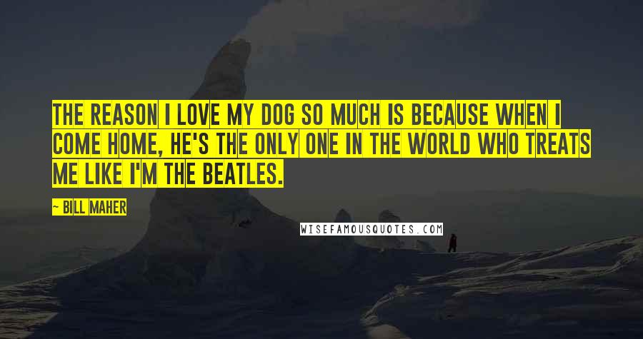 Bill Maher Quotes: The reason I love my dog so much is because when I come home, he's the only one in the world who treats me like I'm the Beatles.