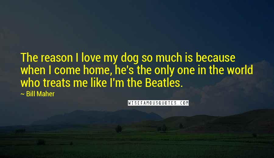 Bill Maher Quotes: The reason I love my dog so much is because when I come home, he's the only one in the world who treats me like I'm the Beatles.