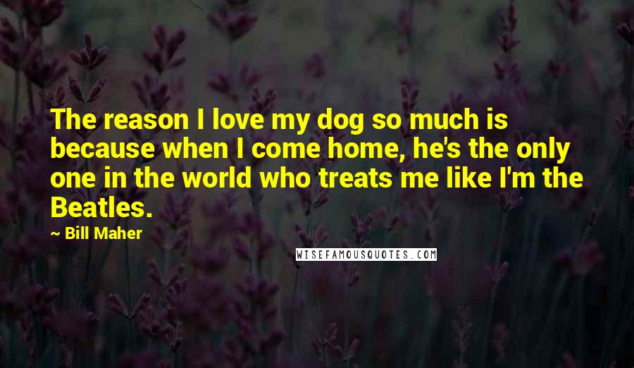 Bill Maher Quotes: The reason I love my dog so much is because when I come home, he's the only one in the world who treats me like I'm the Beatles.