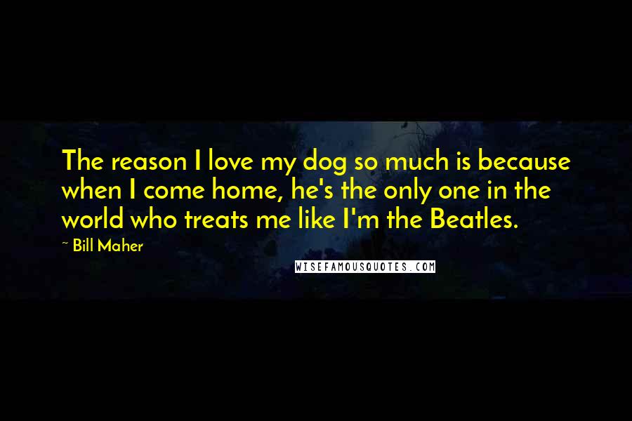 Bill Maher Quotes: The reason I love my dog so much is because when I come home, he's the only one in the world who treats me like I'm the Beatles.