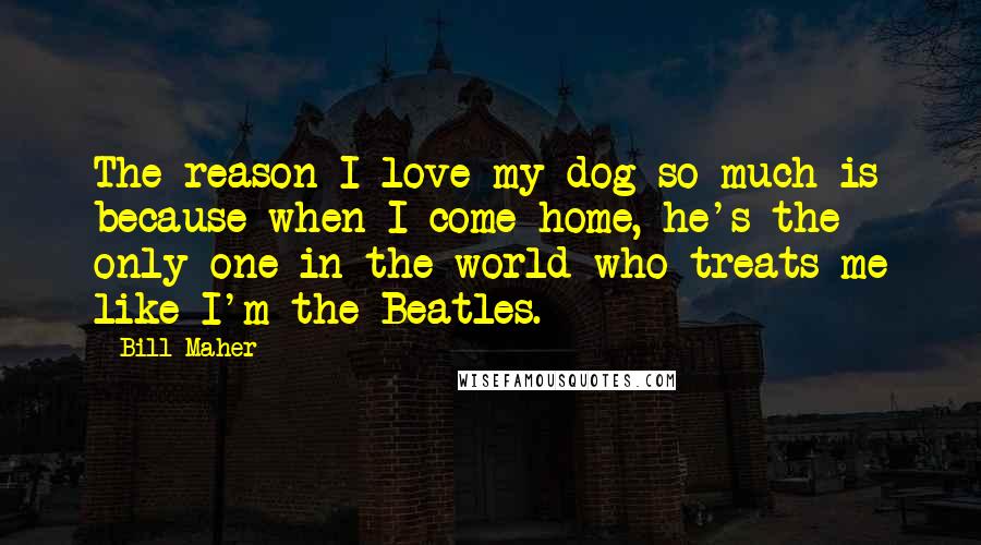 Bill Maher Quotes: The reason I love my dog so much is because when I come home, he's the only one in the world who treats me like I'm the Beatles.