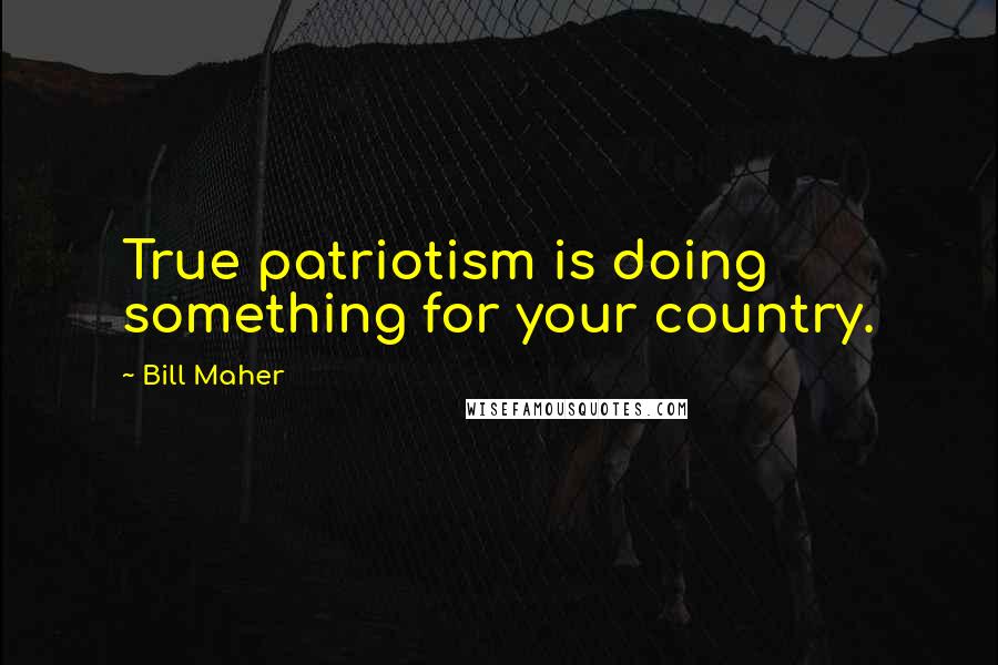Bill Maher Quotes: True patriotism is doing something for your country.