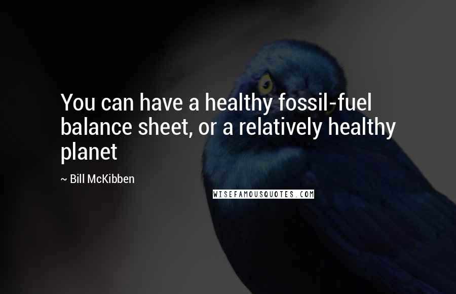 Bill McKibben Quotes: You can have a healthy fossil-fuel balance sheet, or a relatively healthy planet