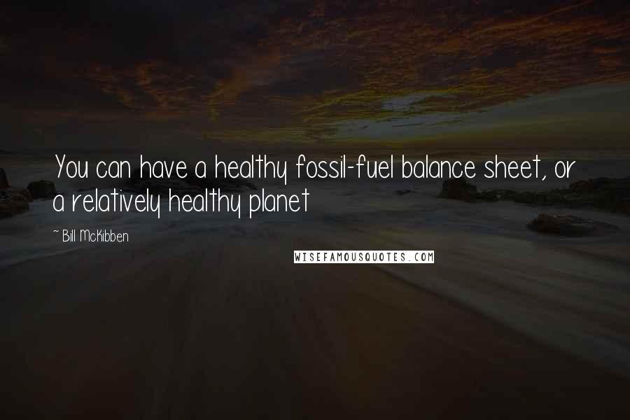 Bill McKibben Quotes: You can have a healthy fossil-fuel balance sheet, or a relatively healthy planet