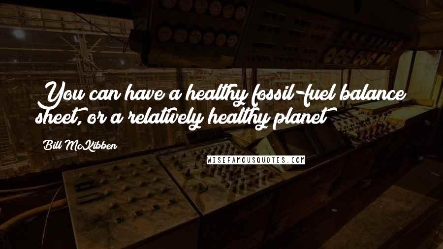 Bill McKibben Quotes: You can have a healthy fossil-fuel balance sheet, or a relatively healthy planet