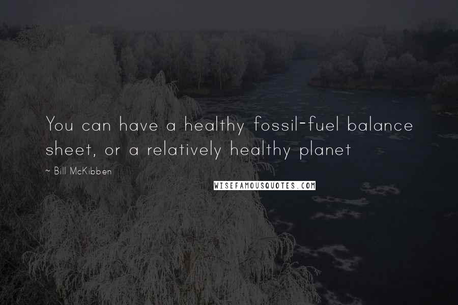 Bill McKibben Quotes: You can have a healthy fossil-fuel balance sheet, or a relatively healthy planet