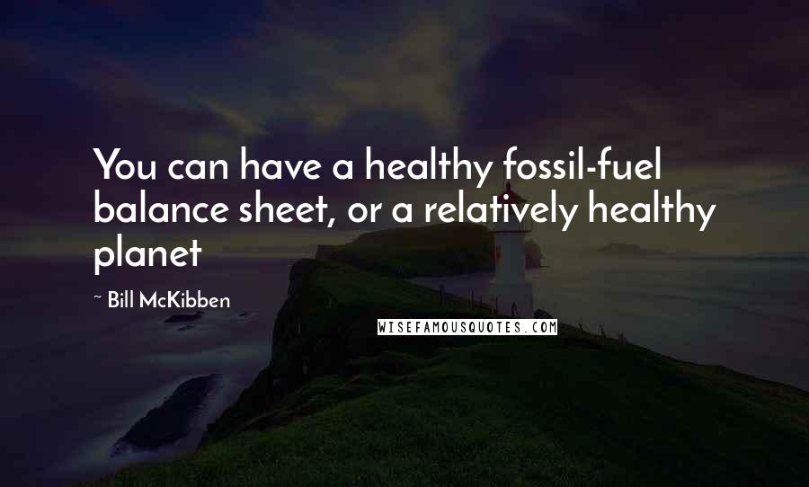 Bill McKibben Quotes: You can have a healthy fossil-fuel balance sheet, or a relatively healthy planet