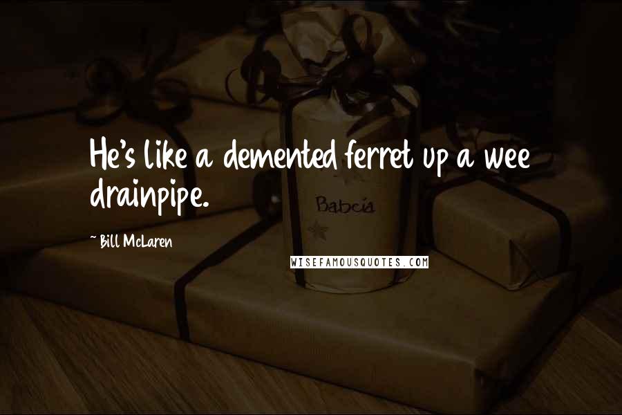 Bill McLaren Quotes: He's like a demented ferret up a wee drainpipe.
