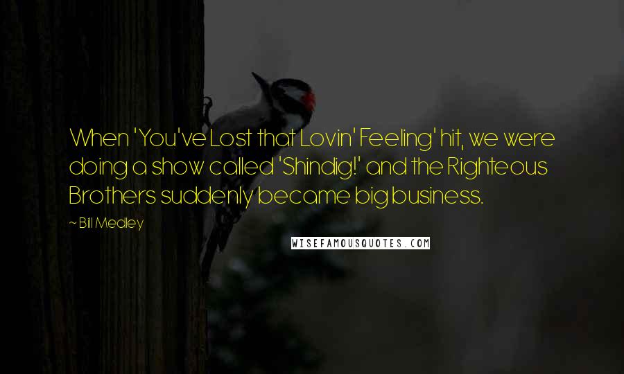 Bill Medley Quotes: When 'You've Lost that Lovin' Feeling' hit, we were doing a show called 'Shindig!' and the Righteous Brothers suddenly became big business.
