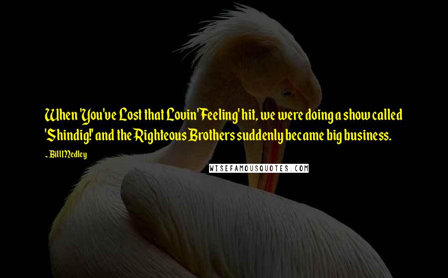 Bill Medley Quotes: When 'You've Lost that Lovin' Feeling' hit, we were doing a show called 'Shindig!' and the Righteous Brothers suddenly became big business.