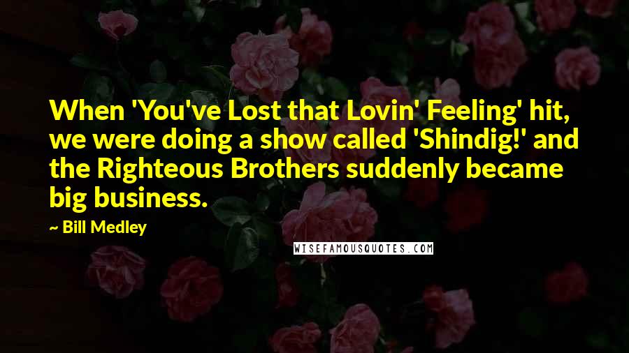 Bill Medley Quotes: When 'You've Lost that Lovin' Feeling' hit, we were doing a show called 'Shindig!' and the Righteous Brothers suddenly became big business.