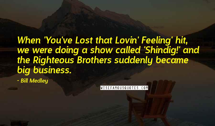 Bill Medley Quotes: When 'You've Lost that Lovin' Feeling' hit, we were doing a show called 'Shindig!' and the Righteous Brothers suddenly became big business.