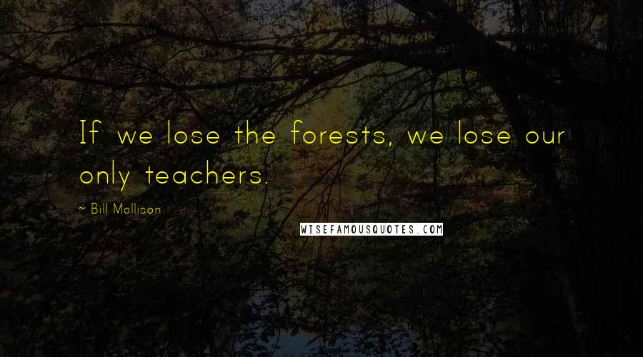 Bill Mollison Quotes: If we lose the forests, we lose our only teachers.