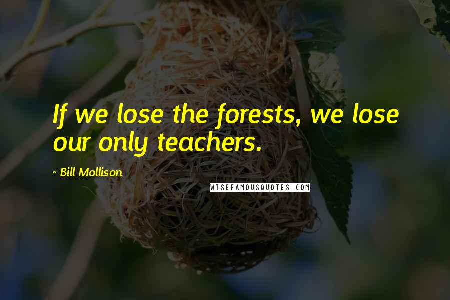 Bill Mollison Quotes: If we lose the forests, we lose our only teachers.