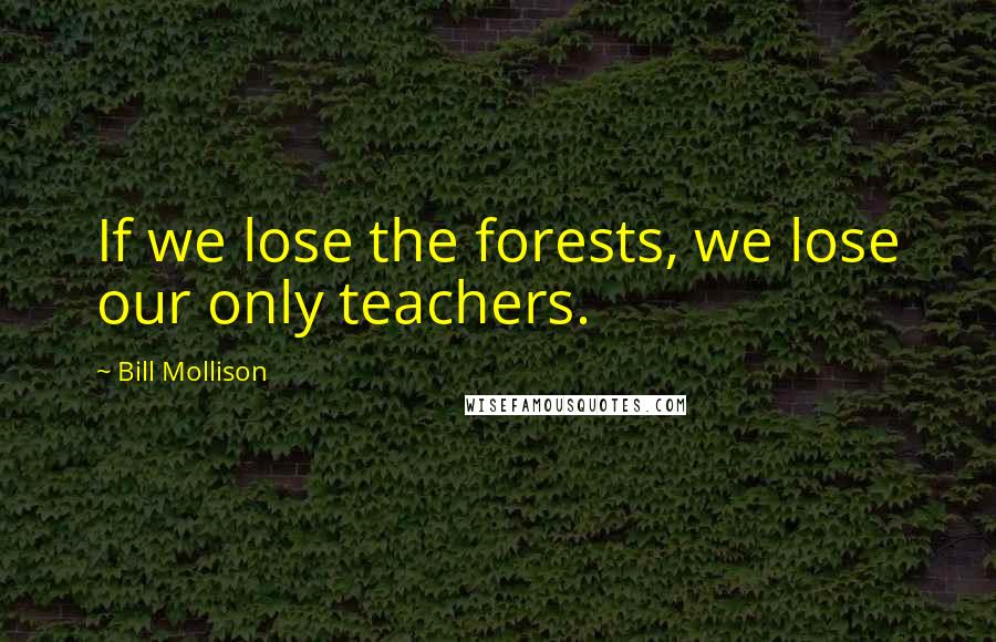 Bill Mollison Quotes: If we lose the forests, we lose our only teachers.