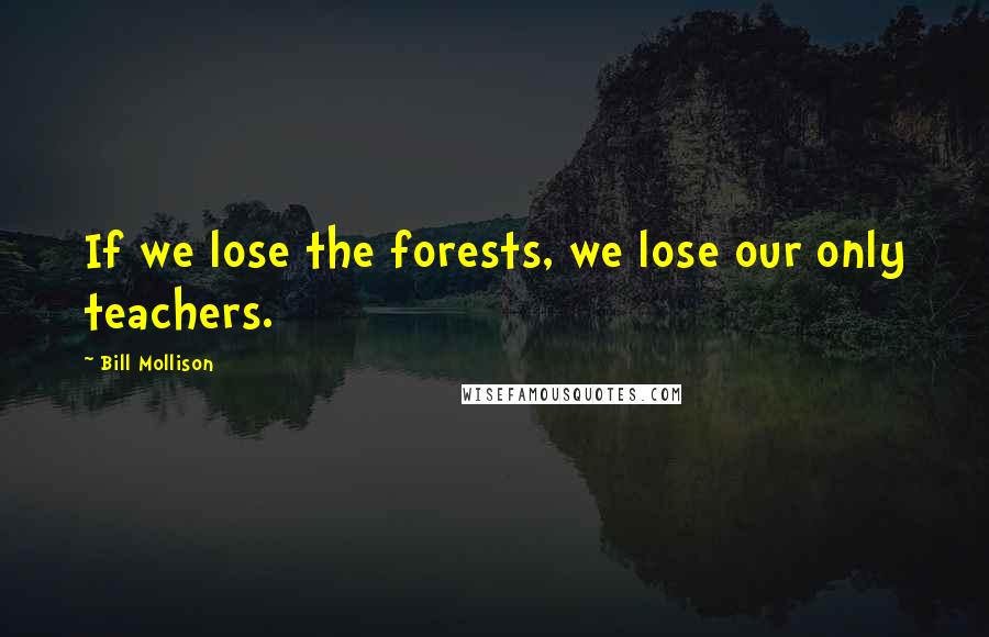 Bill Mollison Quotes: If we lose the forests, we lose our only teachers.