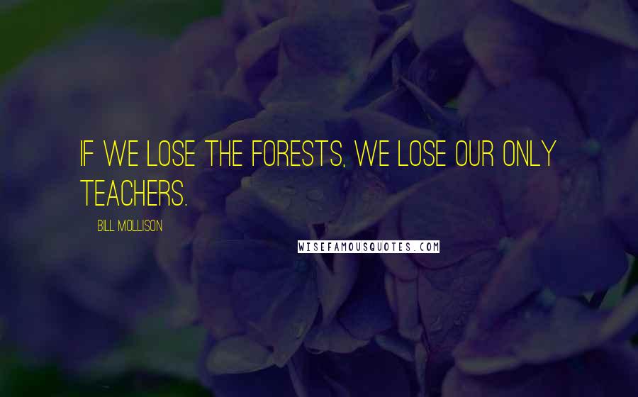 Bill Mollison Quotes: If we lose the forests, we lose our only teachers.