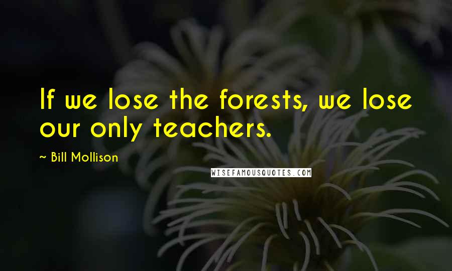 Bill Mollison Quotes: If we lose the forests, we lose our only teachers.