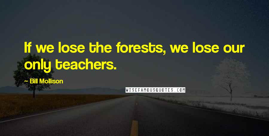 Bill Mollison Quotes: If we lose the forests, we lose our only teachers.