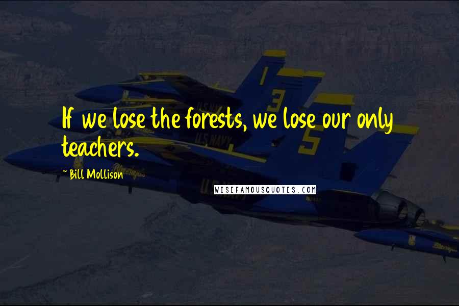 Bill Mollison Quotes: If we lose the forests, we lose our only teachers.