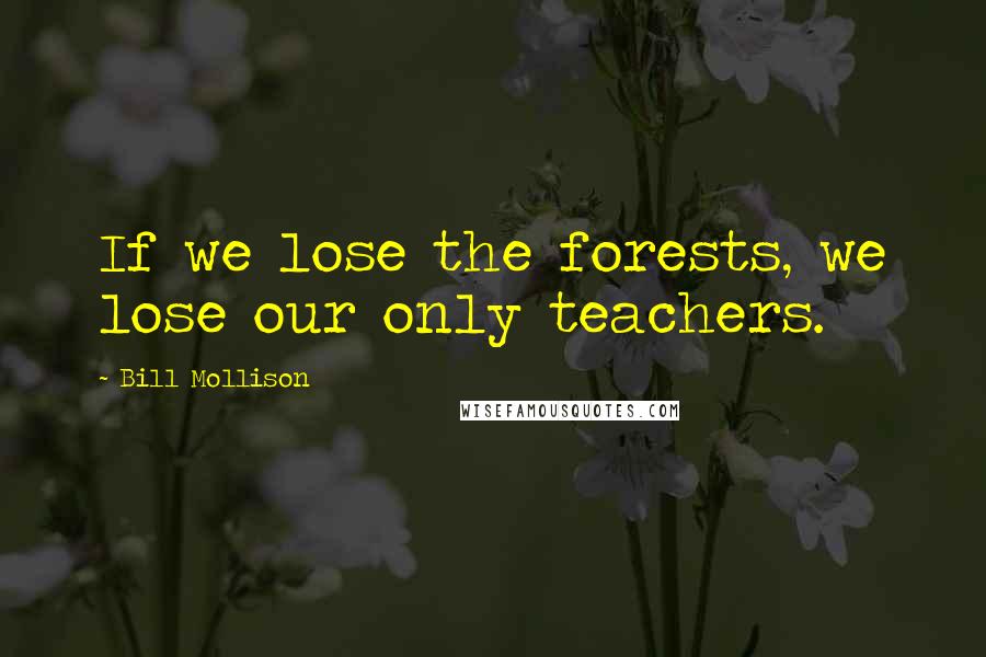 Bill Mollison Quotes: If we lose the forests, we lose our only teachers.