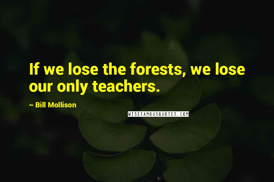Bill Mollison Quotes: If we lose the forests, we lose our only teachers.