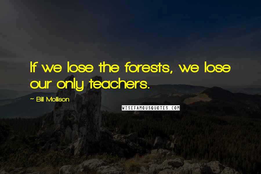 Bill Mollison Quotes: If we lose the forests, we lose our only teachers.