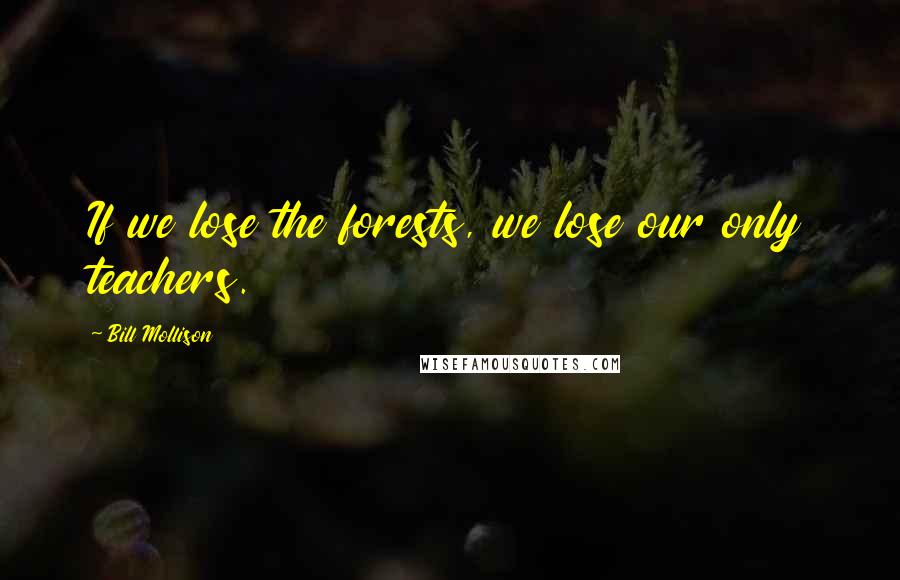 Bill Mollison Quotes: If we lose the forests, we lose our only teachers.