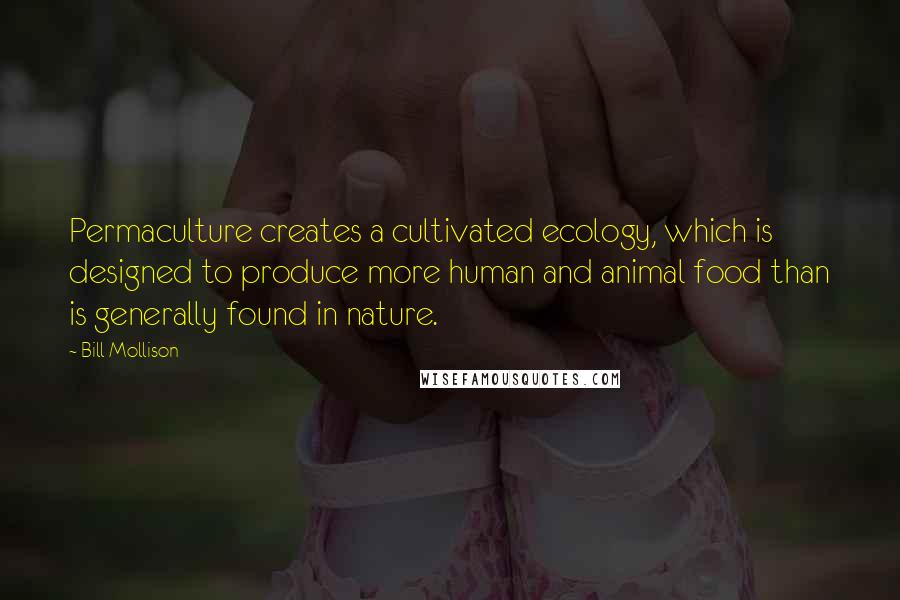 Bill Mollison Quotes: Permaculture creates a cultivated ecology, which is designed to produce more human and animal food than is generally found in nature.