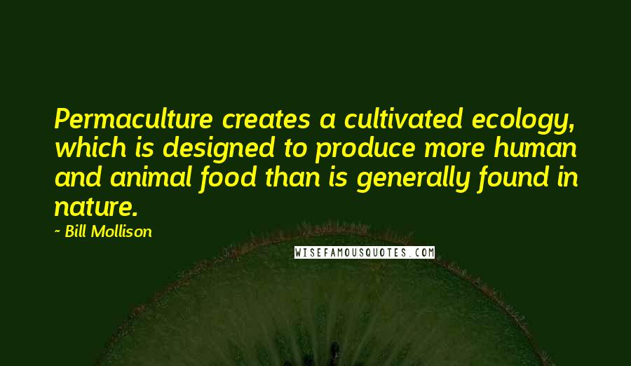 Bill Mollison Quotes: Permaculture creates a cultivated ecology, which is designed to produce more human and animal food than is generally found in nature.