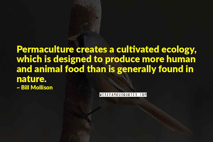 Bill Mollison Quotes: Permaculture creates a cultivated ecology, which is designed to produce more human and animal food than is generally found in nature.