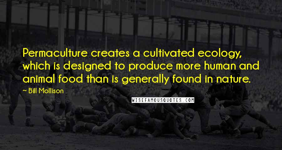 Bill Mollison Quotes: Permaculture creates a cultivated ecology, which is designed to produce more human and animal food than is generally found in nature.