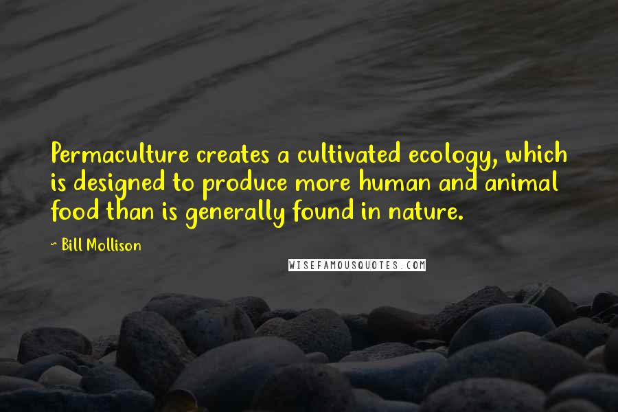 Bill Mollison Quotes: Permaculture creates a cultivated ecology, which is designed to produce more human and animal food than is generally found in nature.