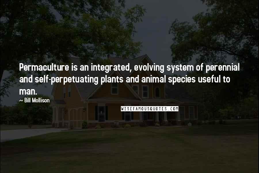 Bill Mollison Quotes: Permaculture is an integrated, evolving system of perennial and self-perpetuating plants and animal species useful to man.