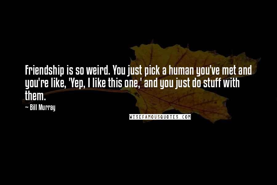 Bill Murray Quotes: Friendship is so weird. You just pick a human you've met and you're like, 'Yep, I like this one,' and you just do stuff with them.