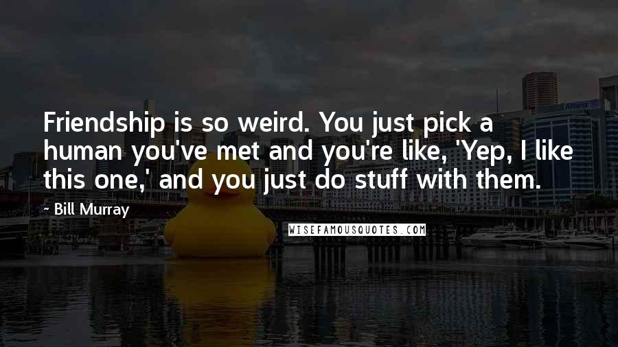 Bill Murray Quotes: Friendship is so weird. You just pick a human you've met and you're like, 'Yep, I like this one,' and you just do stuff with them.