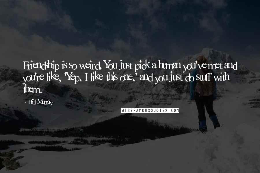 Bill Murray Quotes: Friendship is so weird. You just pick a human you've met and you're like, 'Yep, I like this one,' and you just do stuff with them.