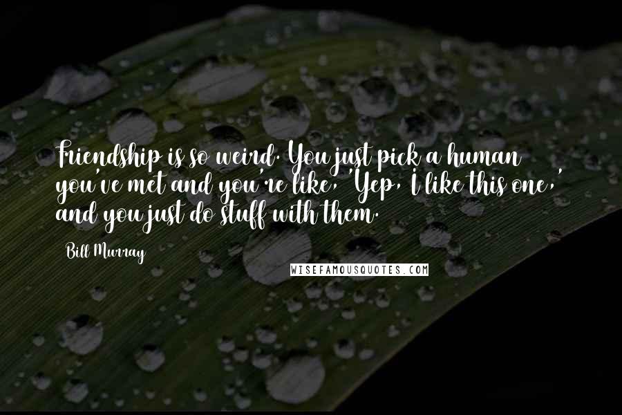 Bill Murray Quotes: Friendship is so weird. You just pick a human you've met and you're like, 'Yep, I like this one,' and you just do stuff with them.