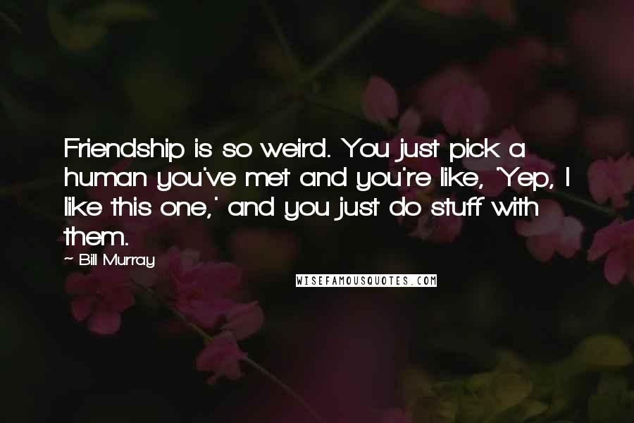 Bill Murray Quotes: Friendship is so weird. You just pick a human you've met and you're like, 'Yep, I like this one,' and you just do stuff with them.