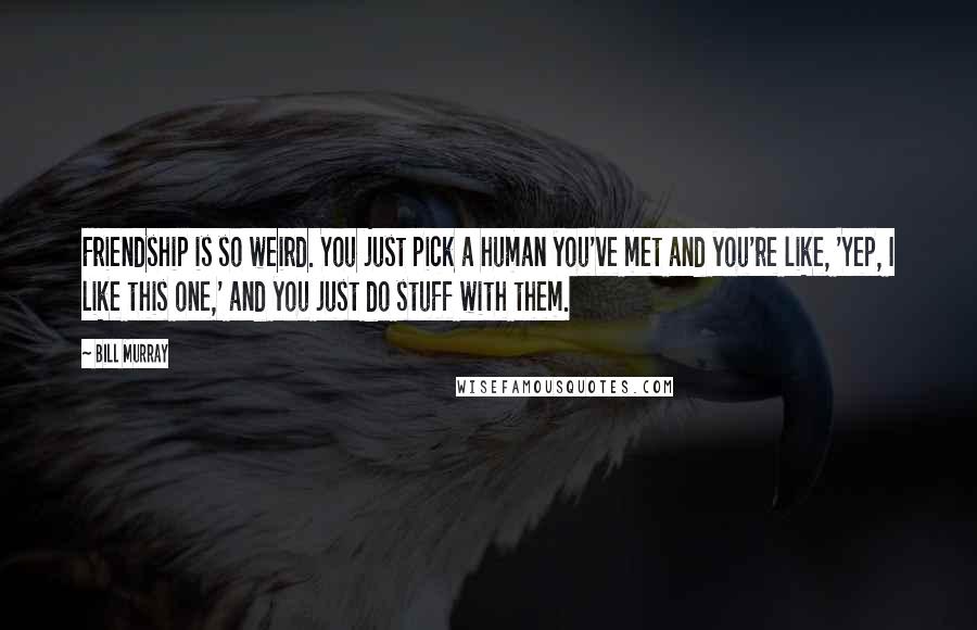 Bill Murray Quotes: Friendship is so weird. You just pick a human you've met and you're like, 'Yep, I like this one,' and you just do stuff with them.