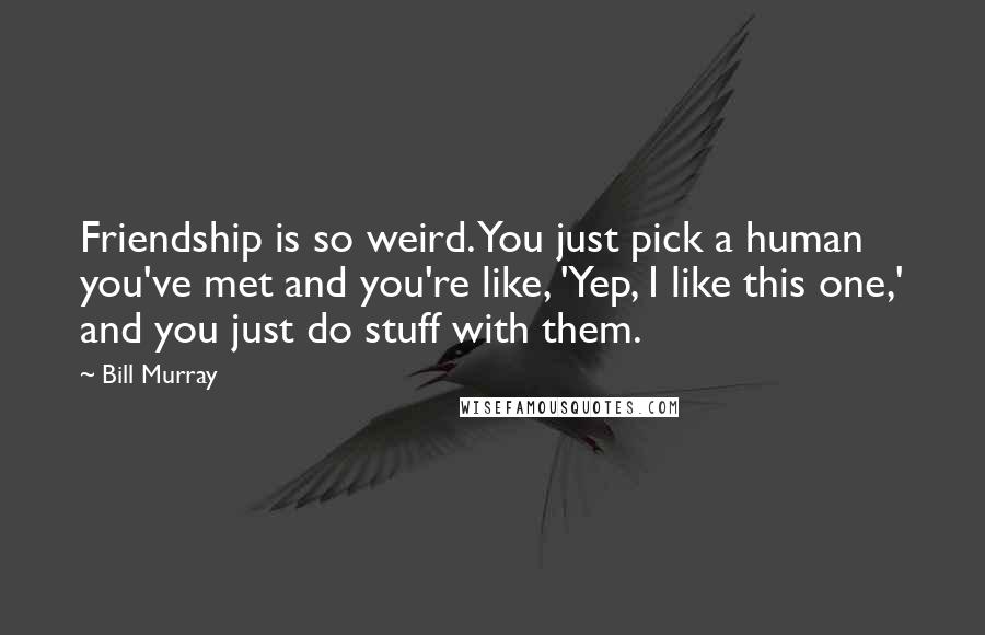 Bill Murray Quotes: Friendship is so weird. You just pick a human you've met and you're like, 'Yep, I like this one,' and you just do stuff with them.