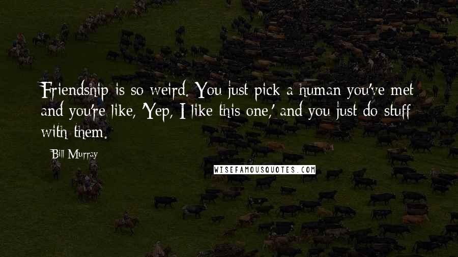 Bill Murray Quotes: Friendship is so weird. You just pick a human you've met and you're like, 'Yep, I like this one,' and you just do stuff with them.