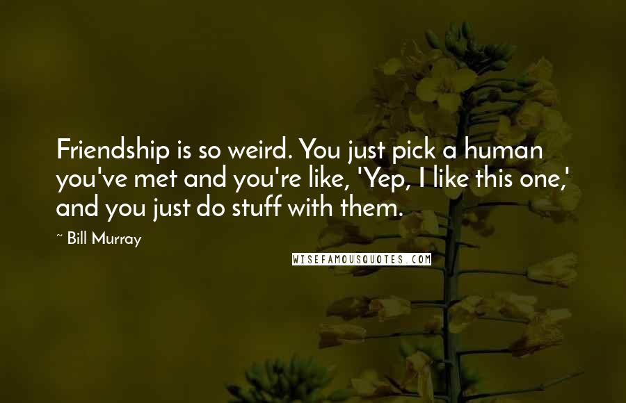 Bill Murray Quotes: Friendship is so weird. You just pick a human you've met and you're like, 'Yep, I like this one,' and you just do stuff with them.