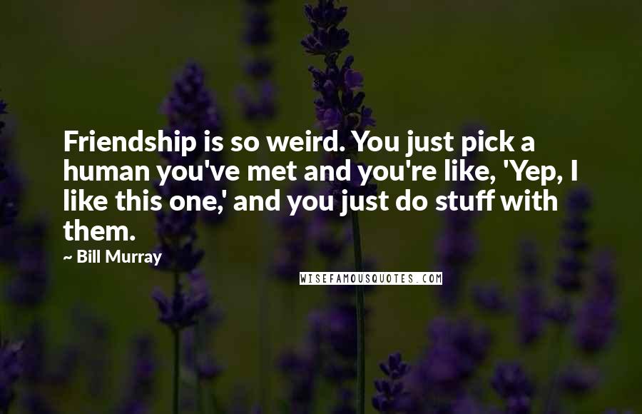 Bill Murray Quotes: Friendship is so weird. You just pick a human you've met and you're like, 'Yep, I like this one,' and you just do stuff with them.