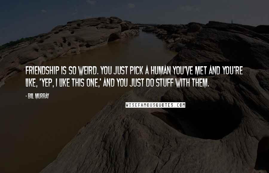 Bill Murray Quotes: Friendship is so weird. You just pick a human you've met and you're like, 'Yep, I like this one,' and you just do stuff with them.