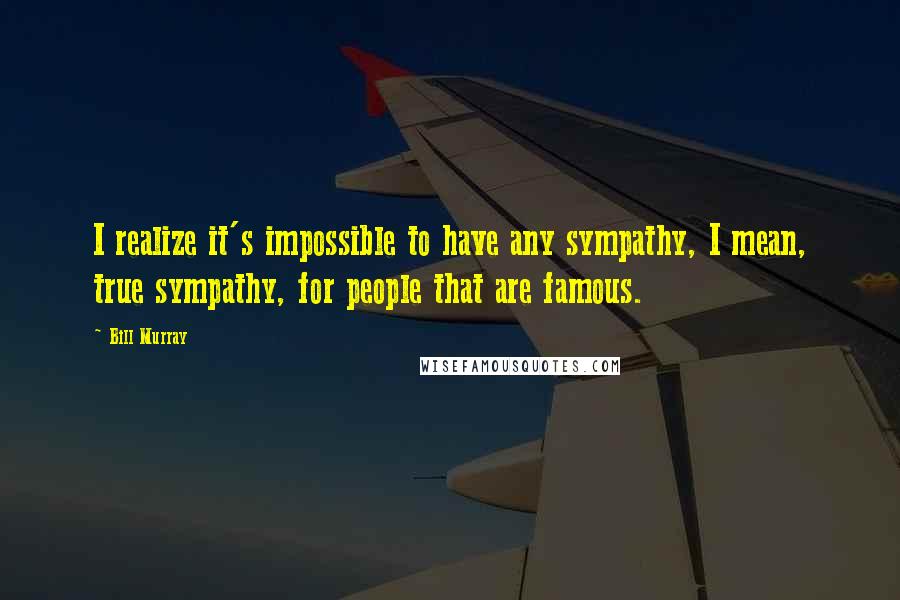 Bill Murray Quotes: I realize it's impossible to have any sympathy, I mean, true sympathy, for people that are famous.