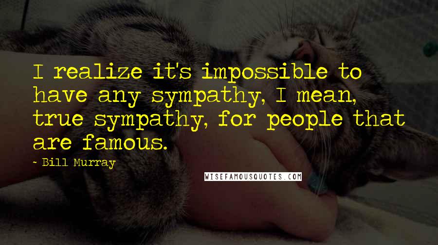 Bill Murray Quotes: I realize it's impossible to have any sympathy, I mean, true sympathy, for people that are famous.