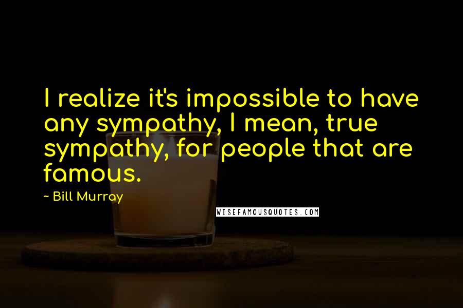 Bill Murray Quotes: I realize it's impossible to have any sympathy, I mean, true sympathy, for people that are famous.